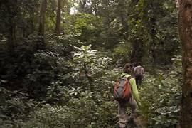 Namdapha Trekking Tour
